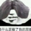IKUN别骂了