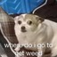 lil weed doggo