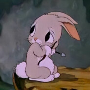 bunni