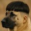 Steam avatar