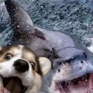 人