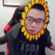 阿里嘎多美羊羊桑