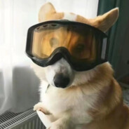 大残，我说我我大残！