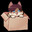-Cashew-