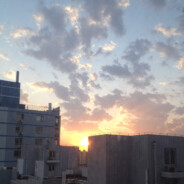 无处安放的灵魂