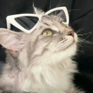 天堂在逃战斗天使