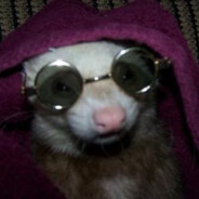 smoking that coyote pack (she)