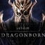 DragonbornTr