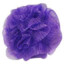 Luffa