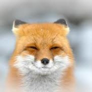 Sneaky_Fox