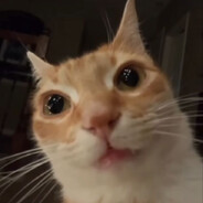 Sealo