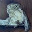 COOBIRD