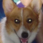 TonyTougou
