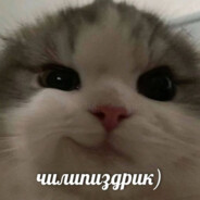 троллейбус