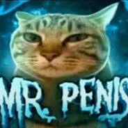 Mr.Penis