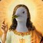 jesus is a seagul