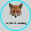 Techri-Gaming