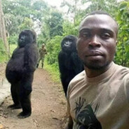 玩爬请加我Mr·李