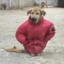 Бобик