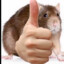 GoodRat