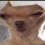 DUNDI