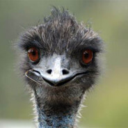 emu war guy avatar