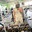 Moo avatar