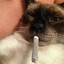 Smokedoy