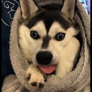 AAAAAA ×͜ ×