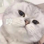 迷鹿阿克曼（洗劫一空