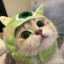 打
