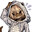 N I A avatar