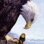 BigKing
