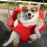 人民所指就是我的方向