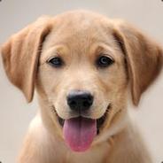 八千年玉老一夜枯荣