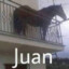 Juan