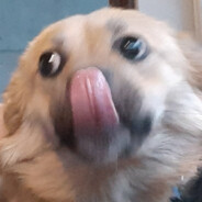 Taco