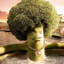 Bobby Broccoli