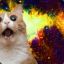 CATZ