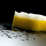 Bullet Sponge The Terrible