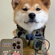 拿不动枪的爷爷