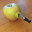 Kusch Apple