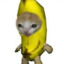 Kotik_banan1