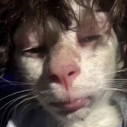 运气不好一个也杀不了