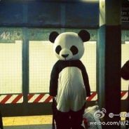 明信片上的牵怪