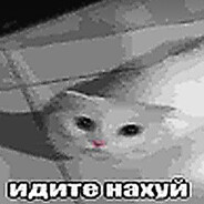 Ало бизнес?