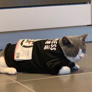 深入巢都寻找神皇内裤