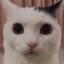 Ceto