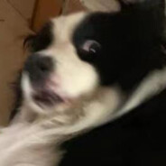 小牧