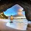 Feeder&#039;s Cove